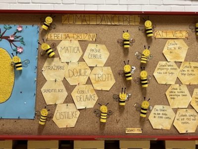 20. maj – Svetovni dan čebel