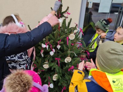 4. december – Okraševanje smrečic v starem mestnem jedru